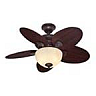 closeout ceiling fan