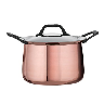 closeout copper clad pot