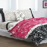 closeout dkny bedding
