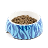 closeout dog bowl