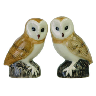 discount salt and pepper owls