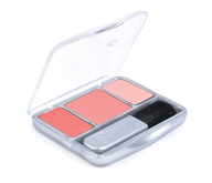 cover girl lush set 