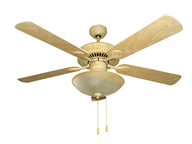 decorative ceiling fan