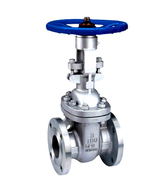 gate valve